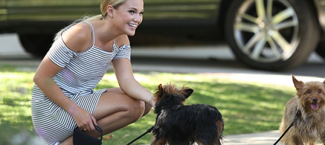 Olivia Holt é clicada caminhando com seus cachorros em Los Angeles; veja fotos